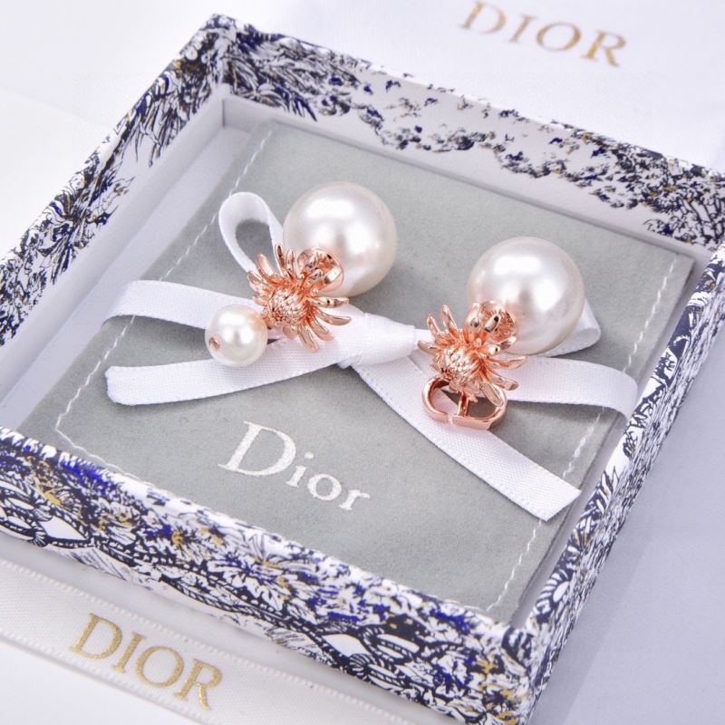 Christian Dior Earrings